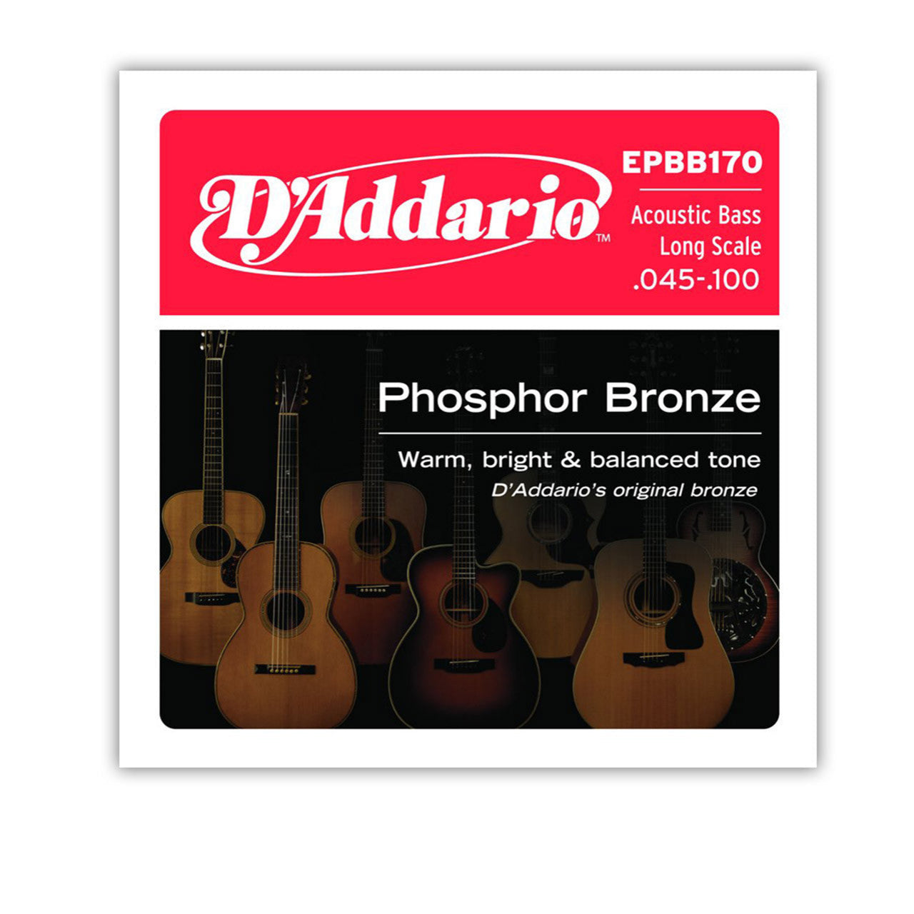 D'Addario EPBB170 Phosphor Bronze Acoustic Bass, Long Scale, 45-100