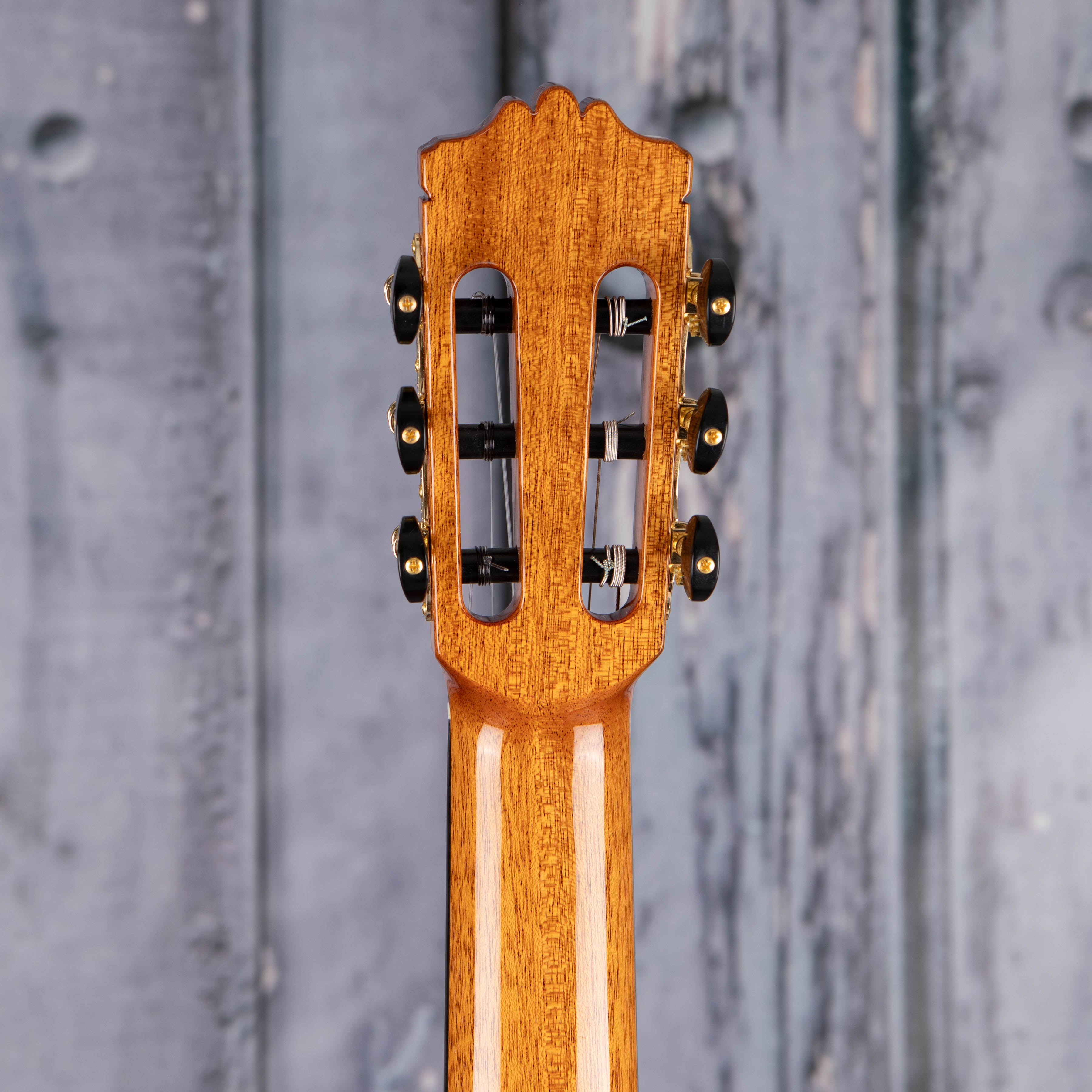 Cordoba C10 SP Classical Guitar, Natural, back headstock