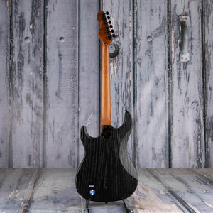 ESP LTD SN-1000 HT Electric Guitar, Fire Blast, back