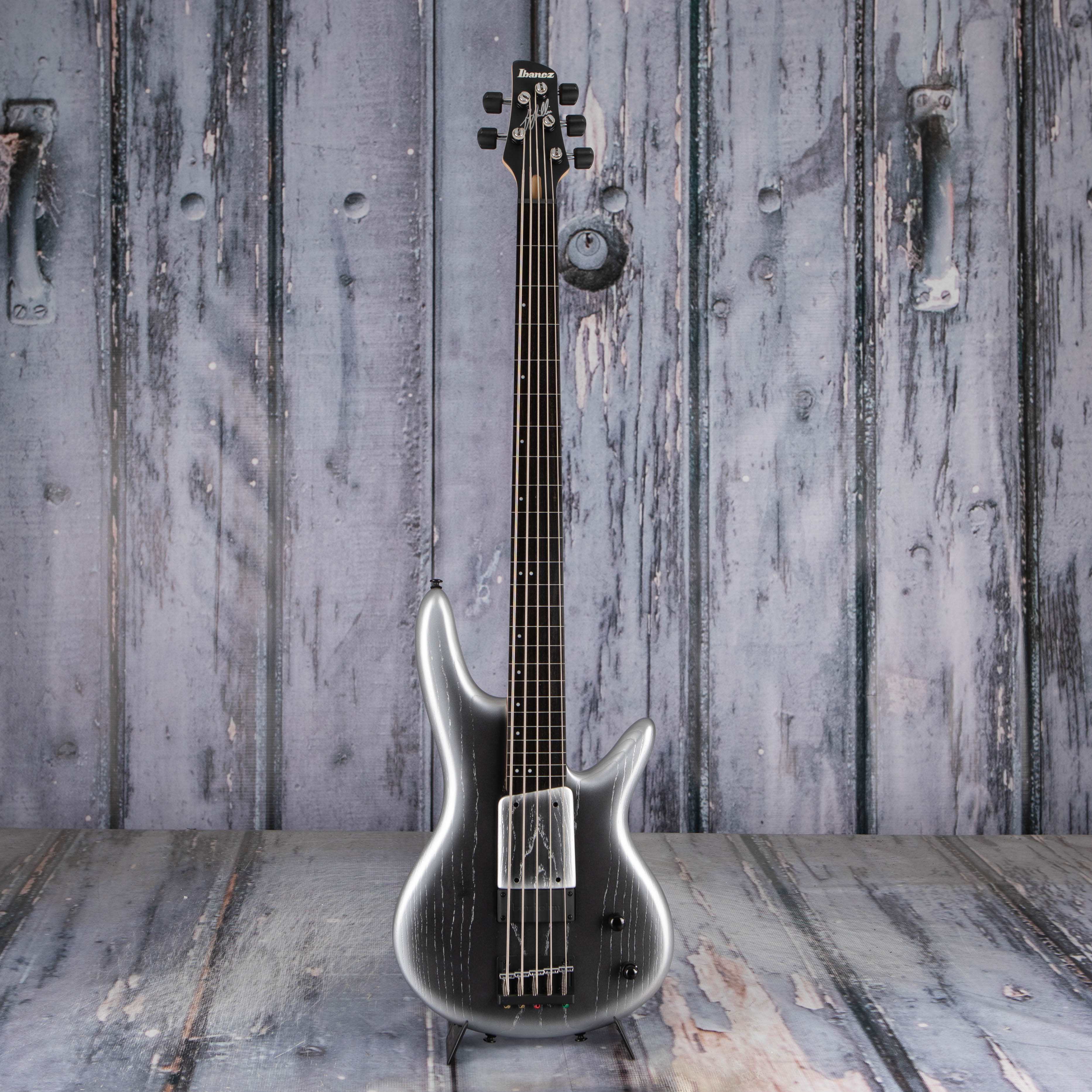 Ibanez Premium Gary Willis Signature Fretless 5-String Electric Bass Guitar, Silver Wave Burst Flat, front