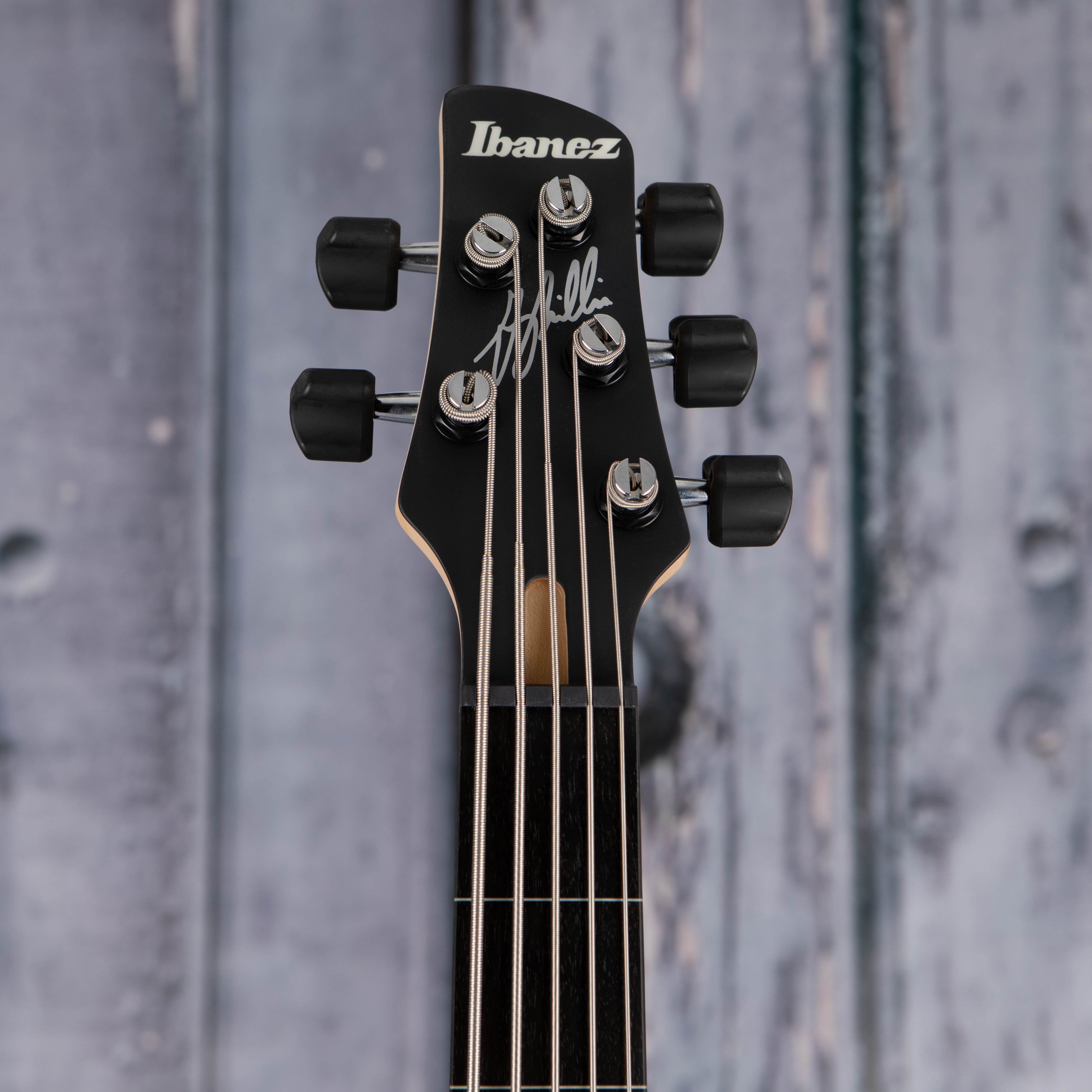 Ibanez Premium Gary Willis Signature Fretless 5-String Electric Bass Guitar, Silver Wave Burst Flat, front headstock