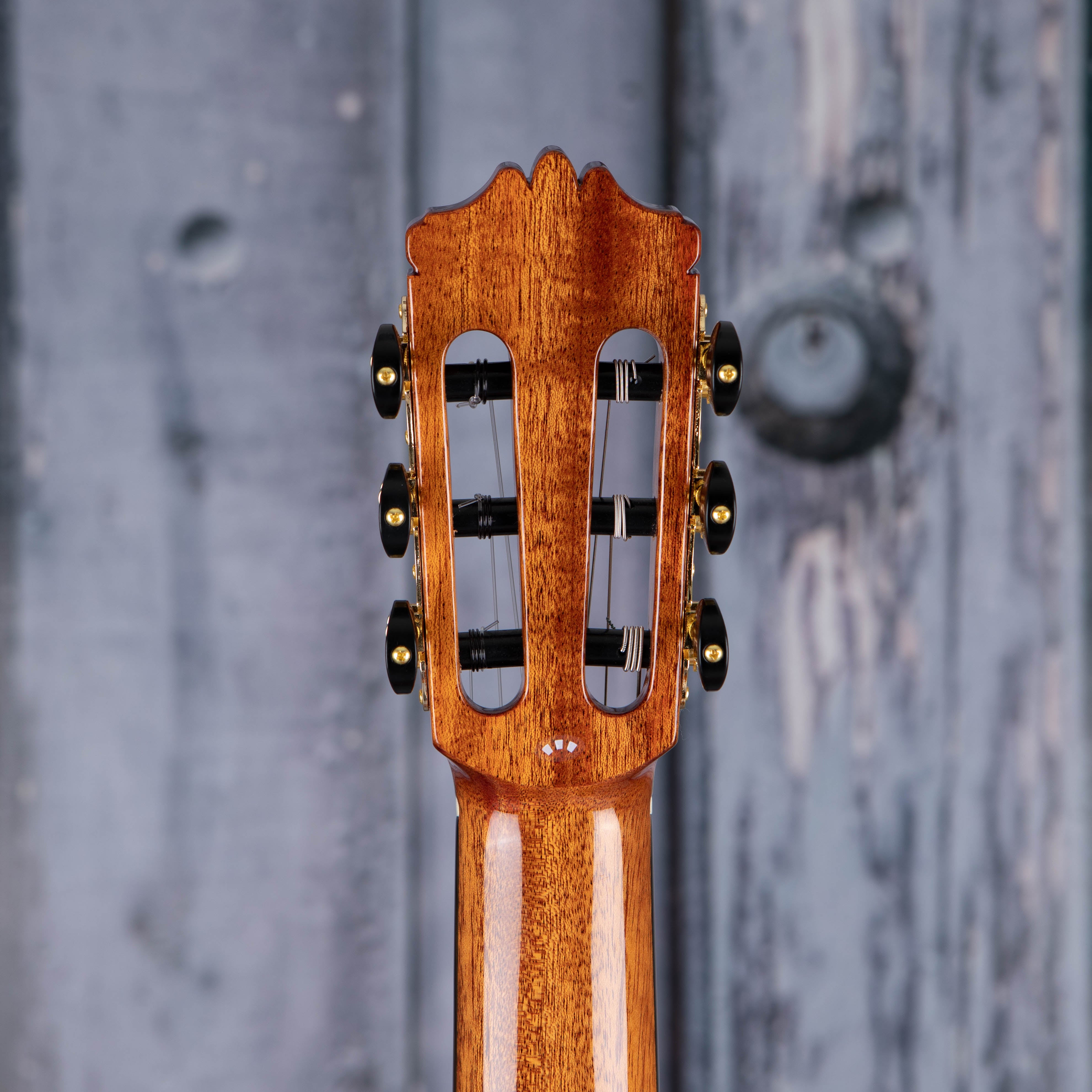 Cordoba C9 Cedar Top Classical Acoustic Guitar, Natural, back headstock