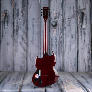 ESP LTD Viper-1000M Electric Guitar, See Thru Black Cherry, back