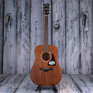 Ibanez AW54 Acoustic Guitar, Open Pore Natural, front