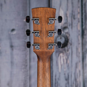 Ibanez AW54 Acoustic Guitar, Open Pore Natural, back headstock