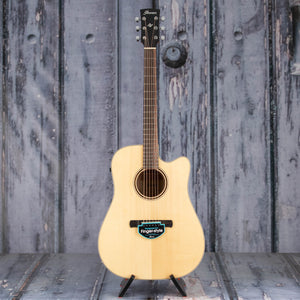 Ibanez AWFS300CE Acoustic/Electric Guitar, Open Pore Semi-Gloss, front