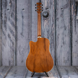 Ibanez AWFS300CE Acoustic/Electric Guitar, Open Pore Semi-Gloss, back