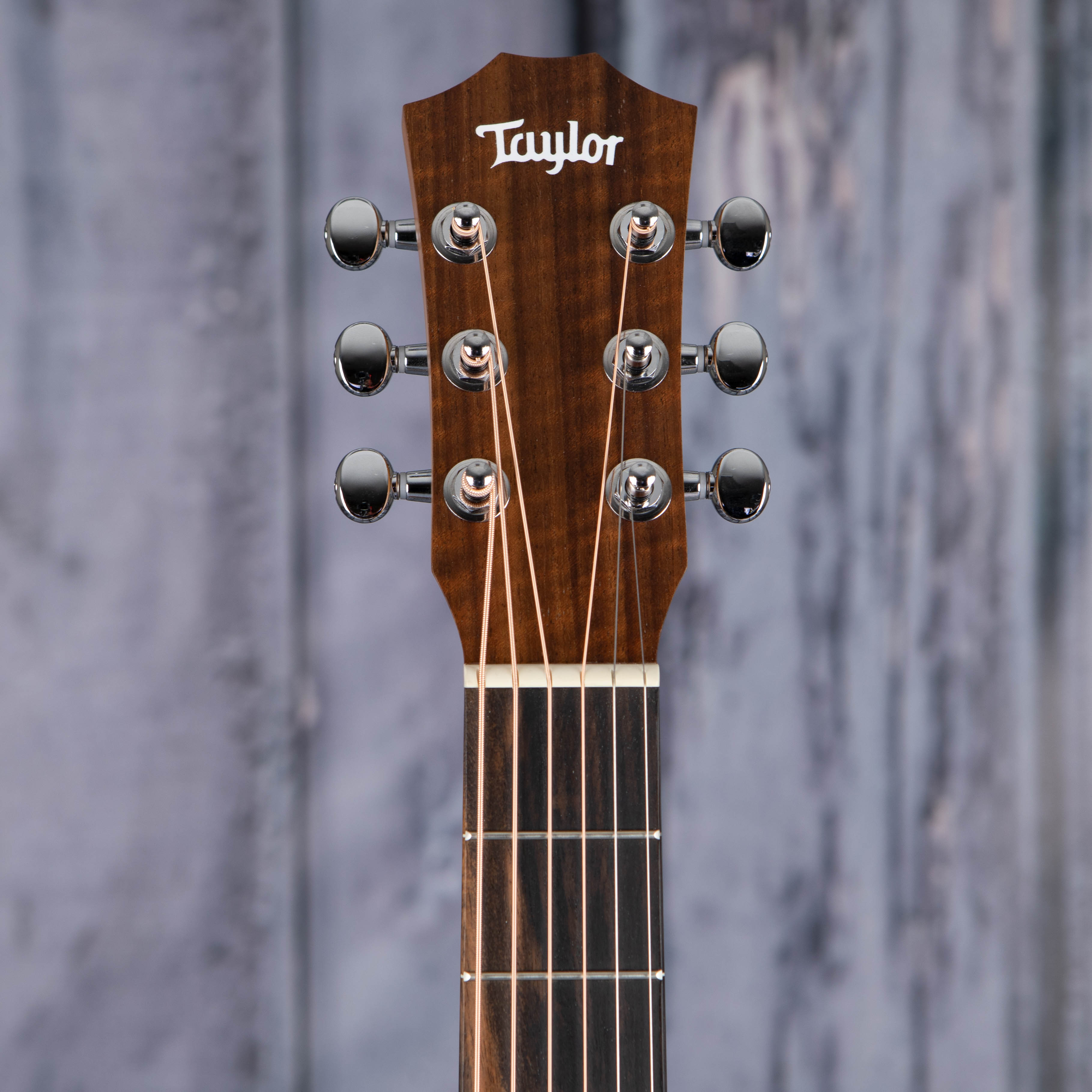 Taylor BT1e Baby Taylor Acoustic/Electric Guitar, Natural, front headstock
