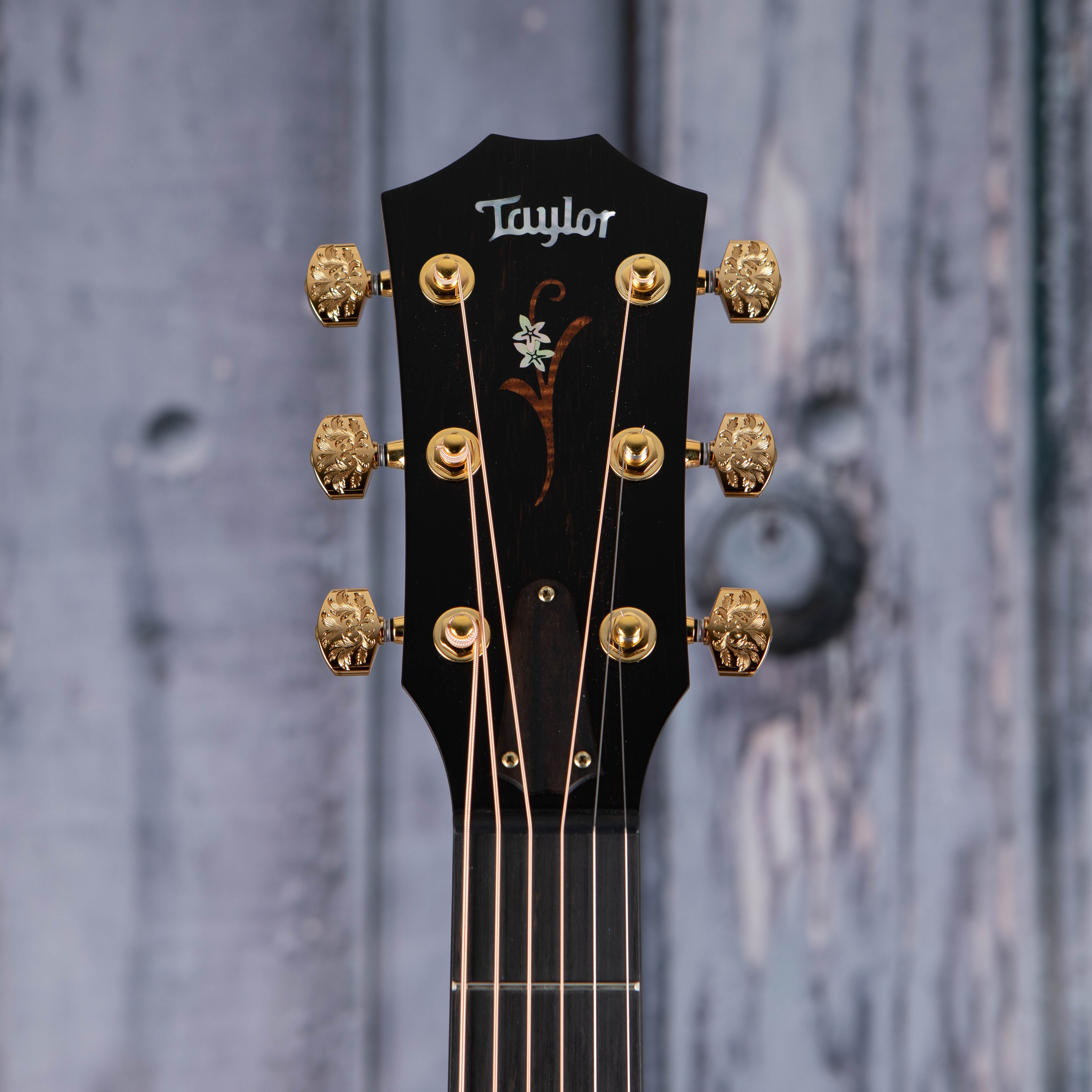 Used Taylor Custom GP Catch #37 Acoustic/Electric Guitar, Natural, front headstock