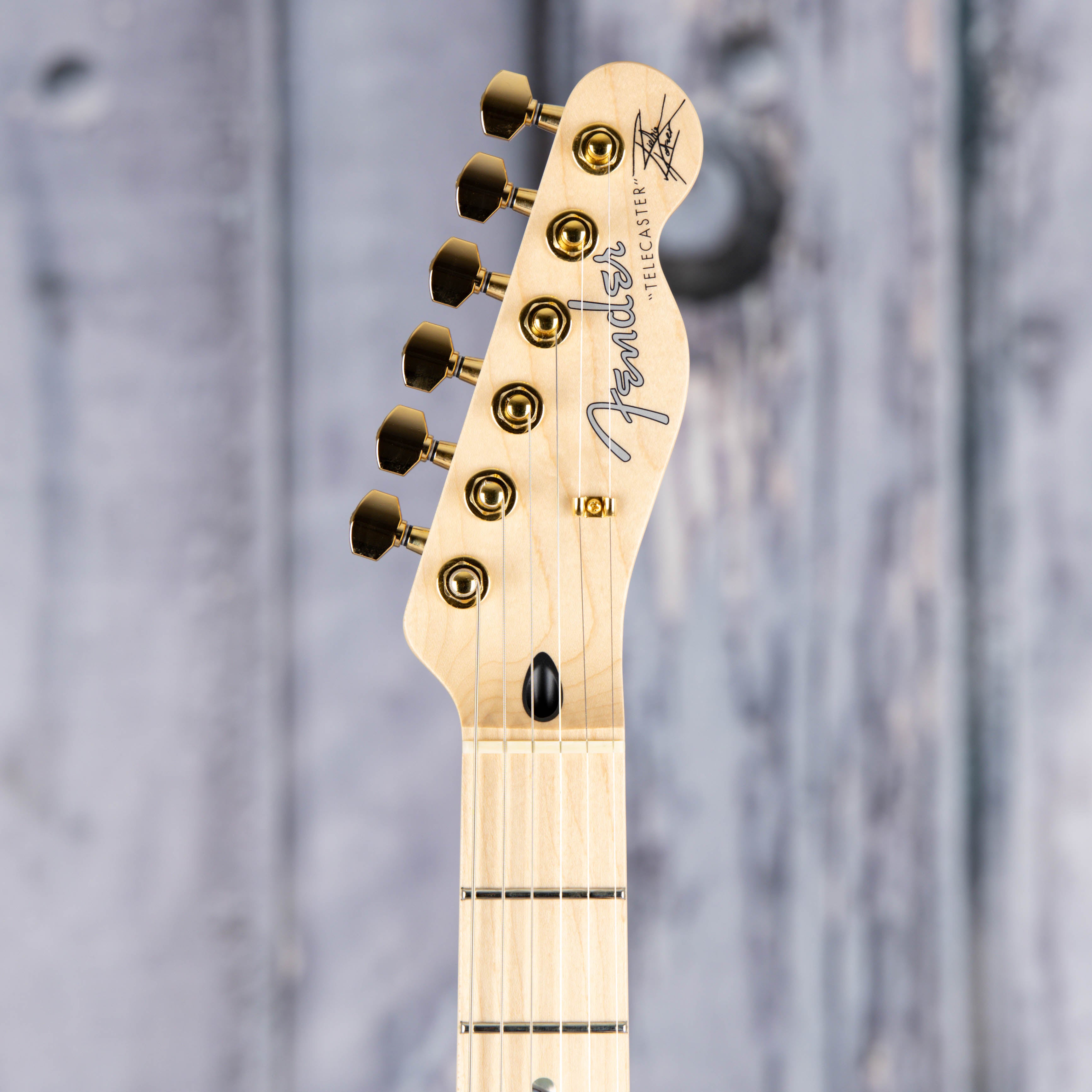Fender Richie Kotzen Telecaster Electric Guitar, Brown Sunburst, front headstock