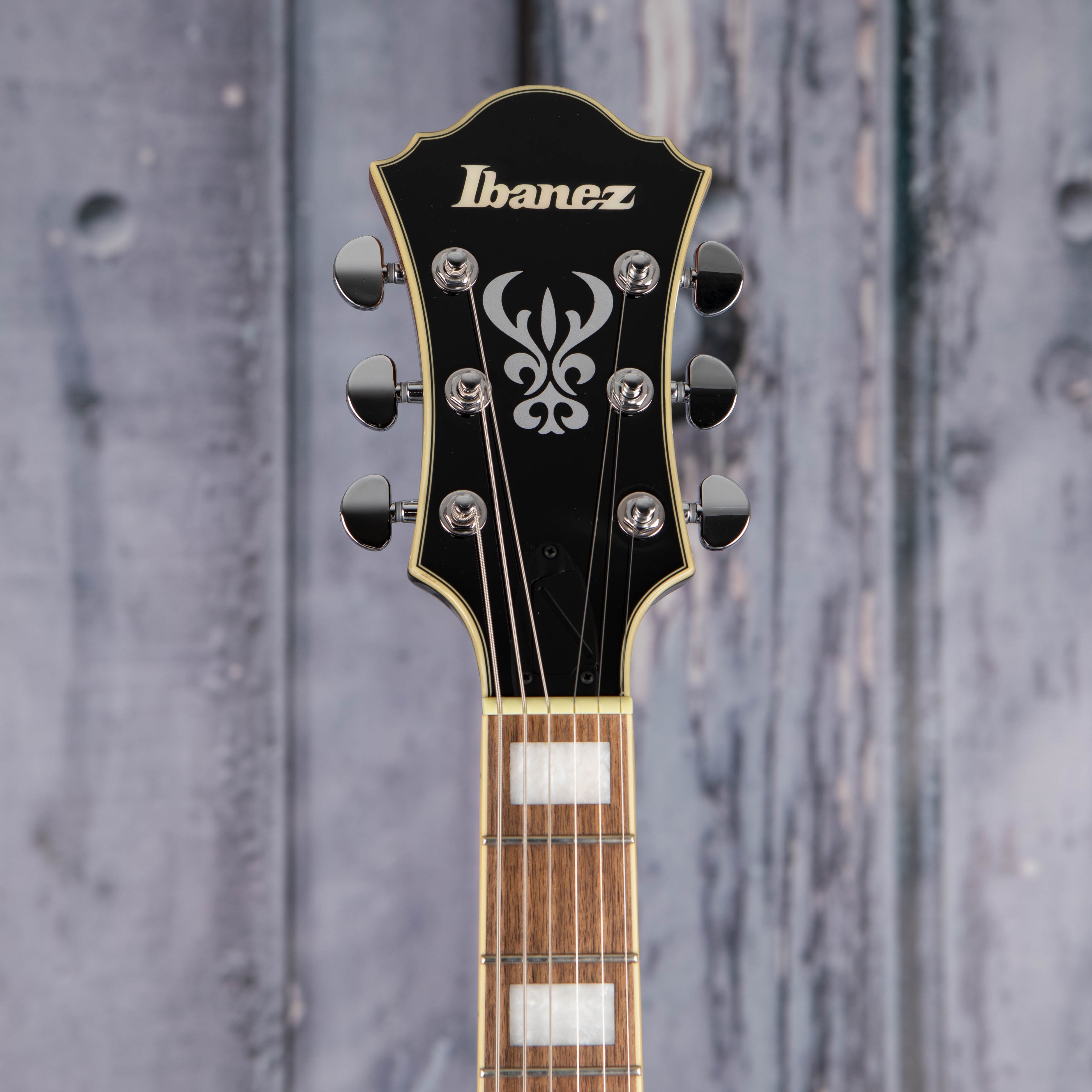 Cheap ibanez guitars on sale