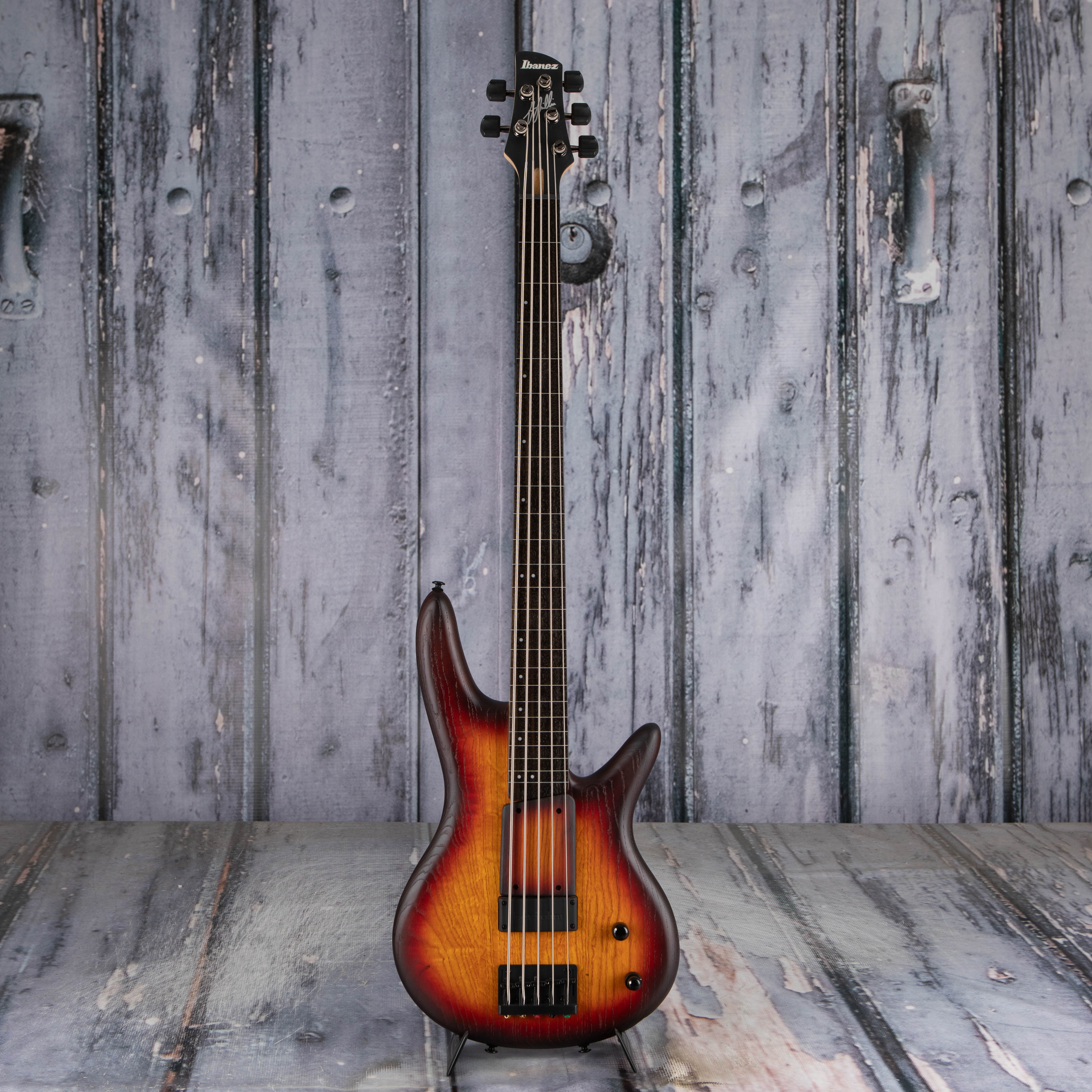 Ibanez GWB205 Gary Willis Signature Fretless 5-String Bass Guitar, Tequila Sunrise Flat, front