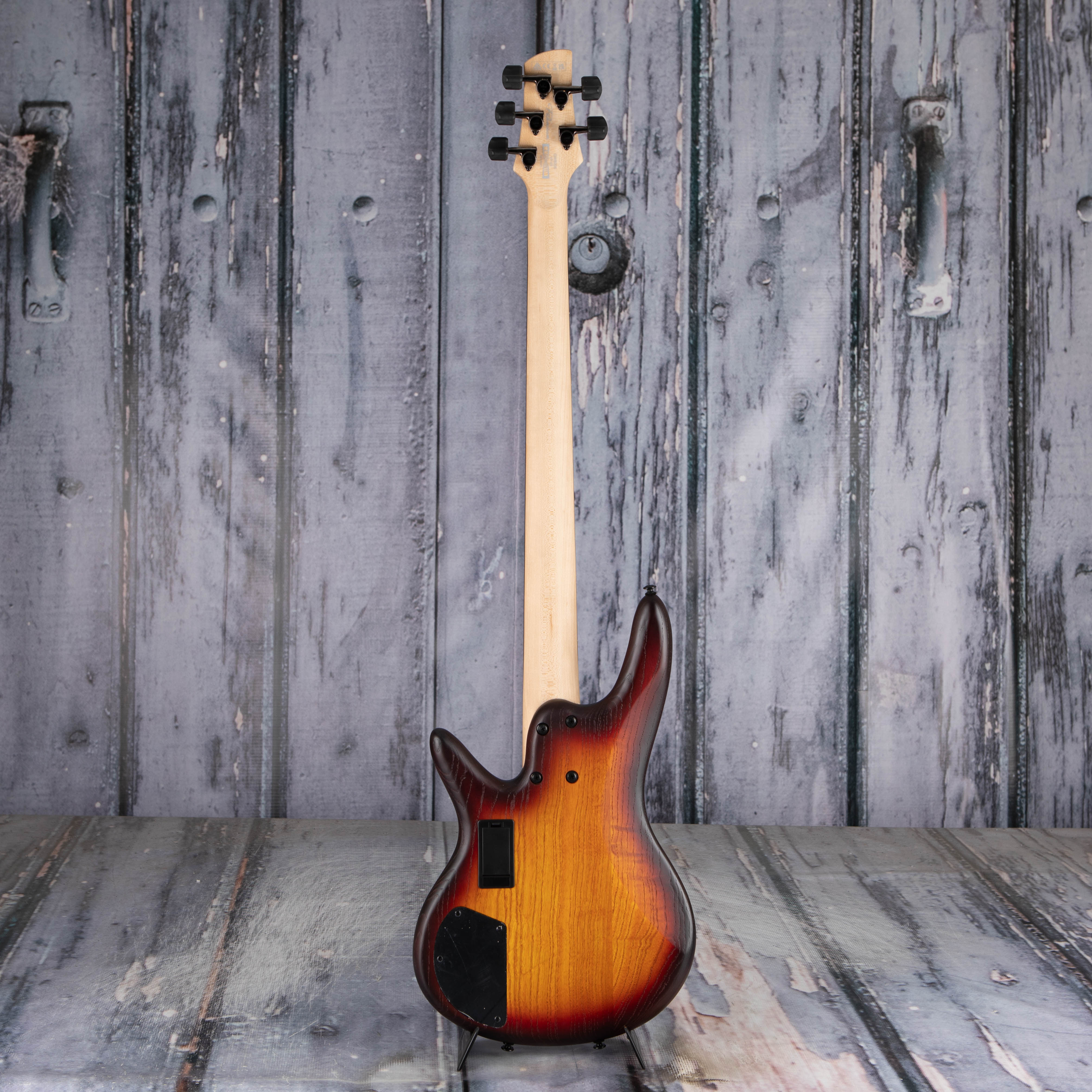 Ibanez GWB205 Gary Willis Signature Fretless 5-String Bass Guitar, Tequila Sunrise Flat, back