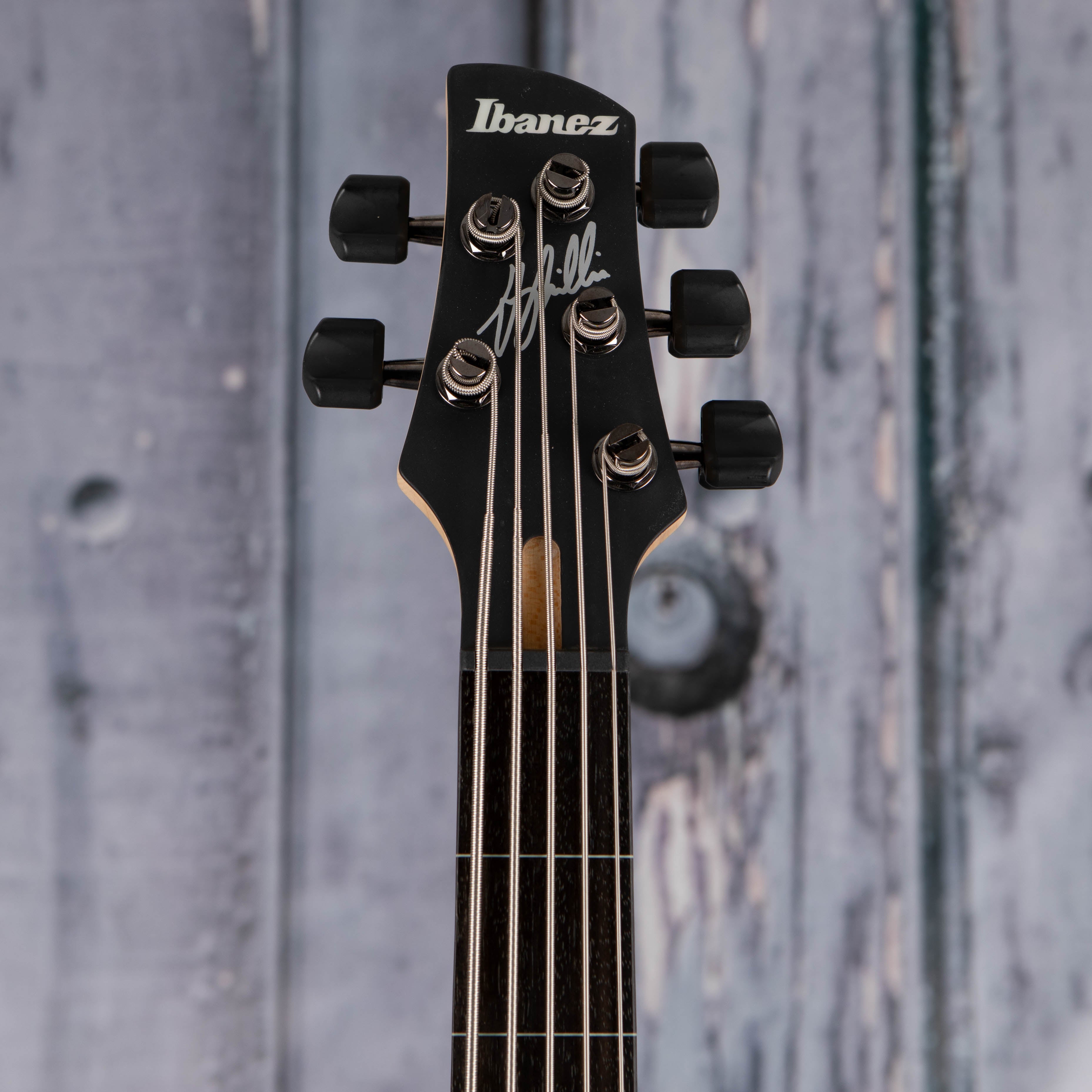 Ibanez GWB205 Gary Willis Signature Fretless 5-String Bass Guitar, Tequila Sunrise Flat, front headstock