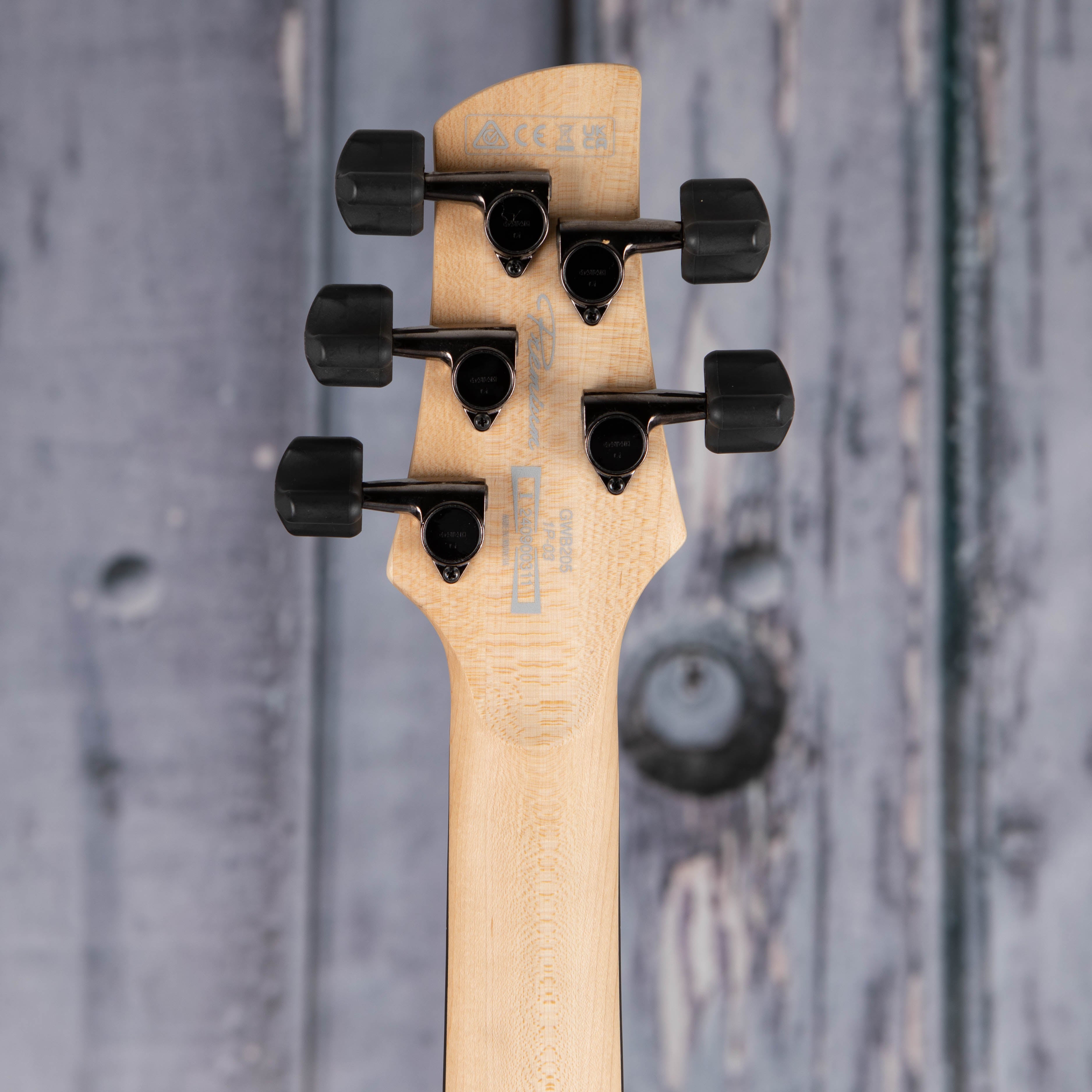 Ibanez GWB205 Gary Willis Signature Fretless 5-String Bass Guitar, Tequila Sunrise Flat, back headstock