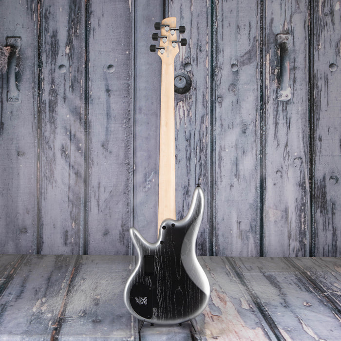 Ibanez Premium Gary Willis Signature Fretless 5-String Bass, Silver Wave Burst Flat