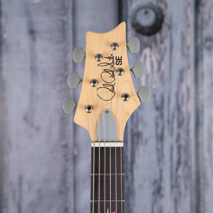 Paul Reed Smith SE Silver Sky, Piano Black