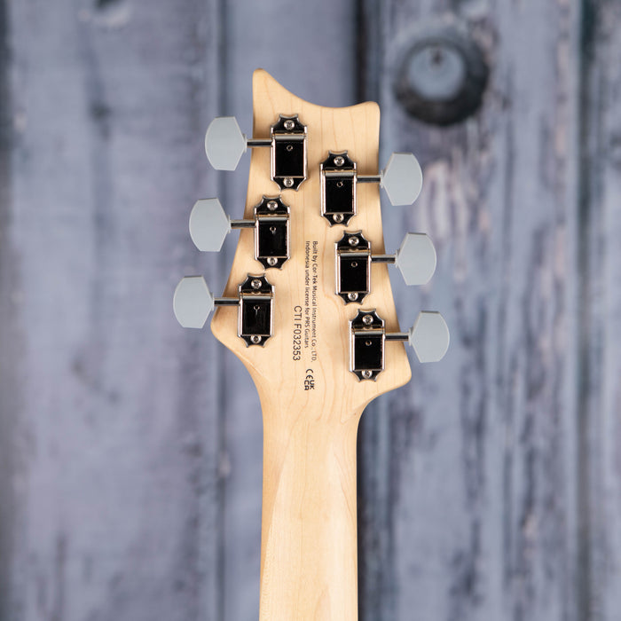 Paul Reed Smith SE Silver Sky, Piano Black
