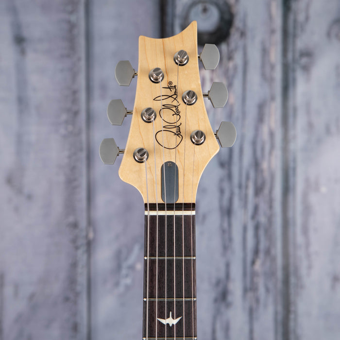 Paul Reed Smith Silver Sky Rosewood Fingerboard Polar Blue For
