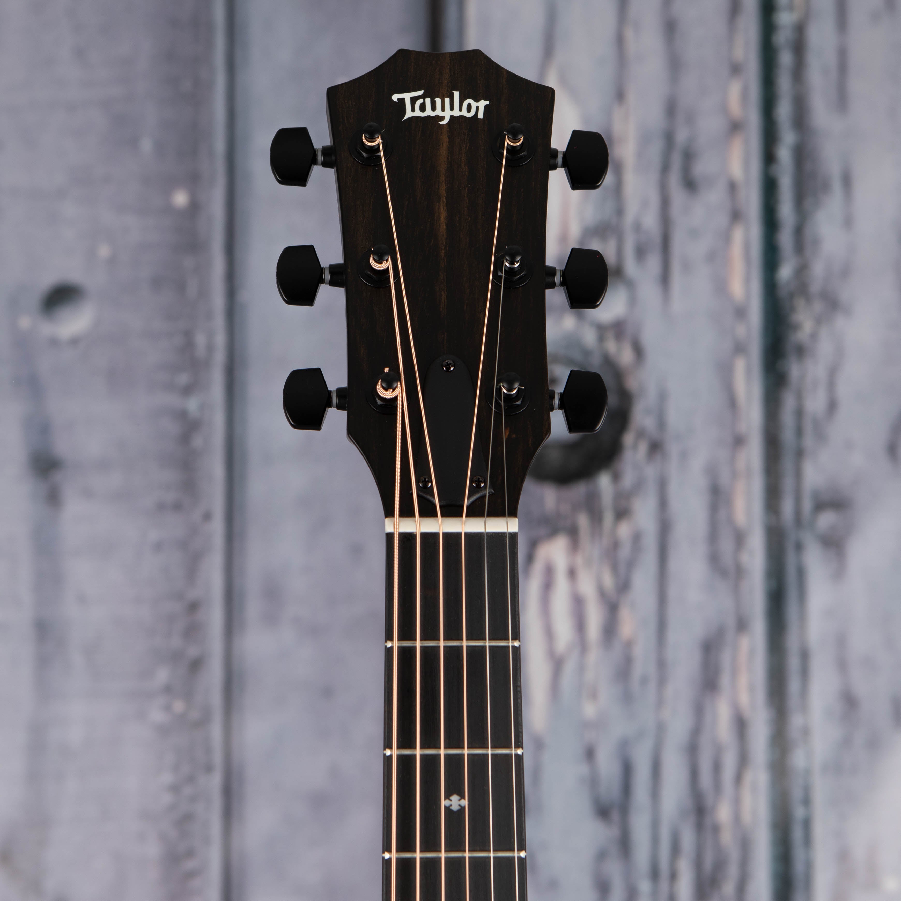 Taylor 214ce Plus Special Edition Acoustic/Electric Guitar, Trans Blue, front headstock