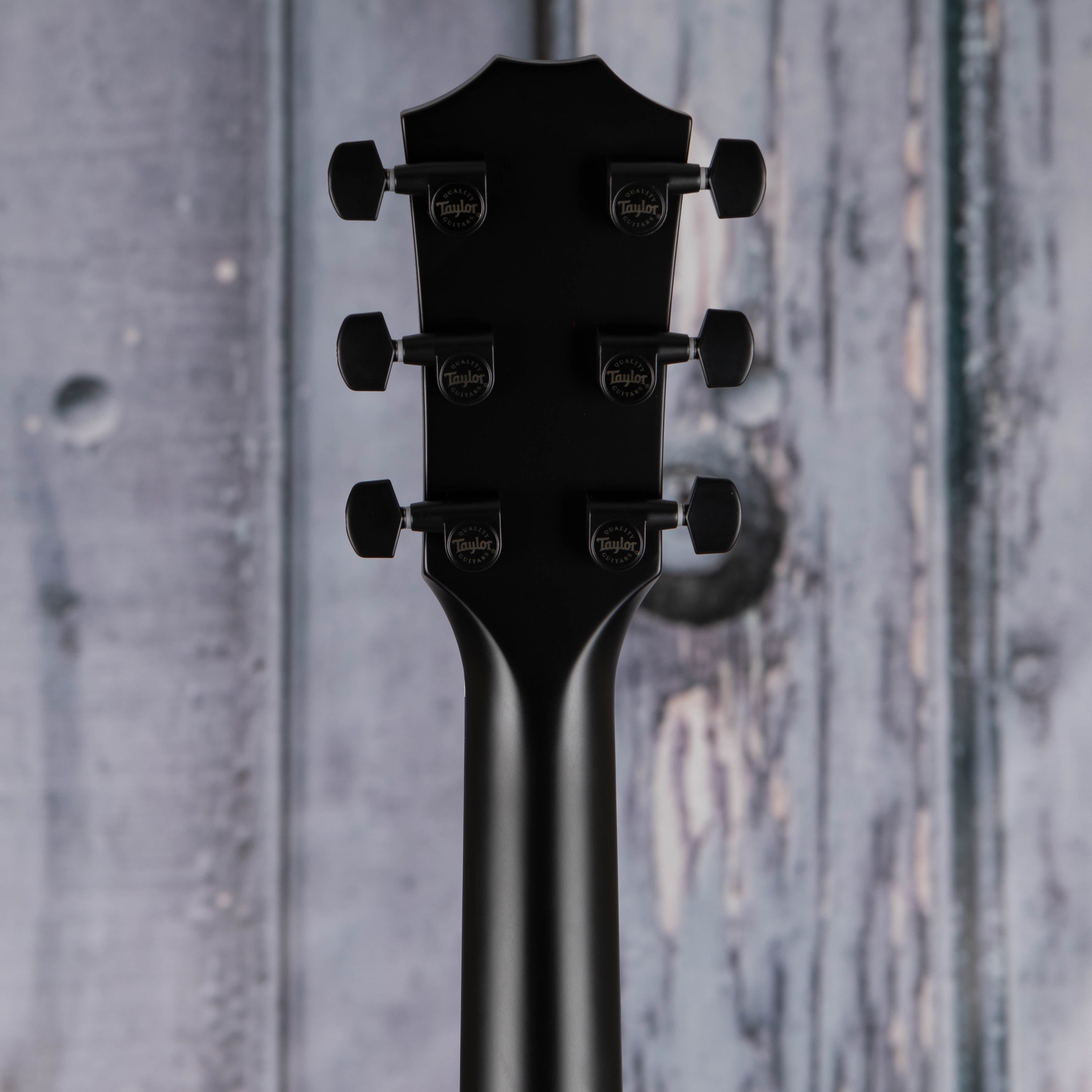 Taylor 214ce Plus Special Edition Acoustic/Electric Guitar, Trans Blue, back headstock