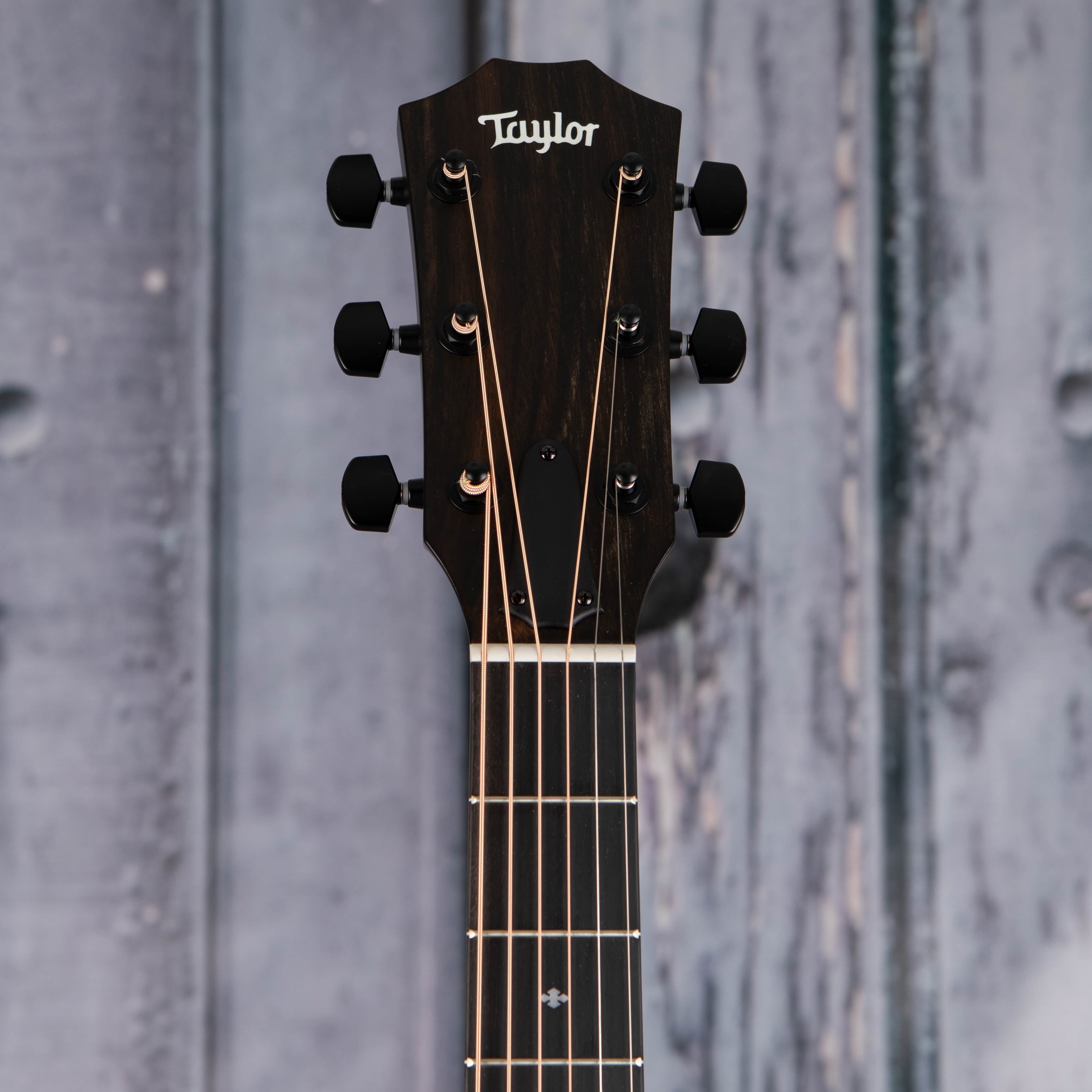 Taylor 214ce Plus Special Edition Acoustic/Electric Guitar, Trans Grey, front headstock