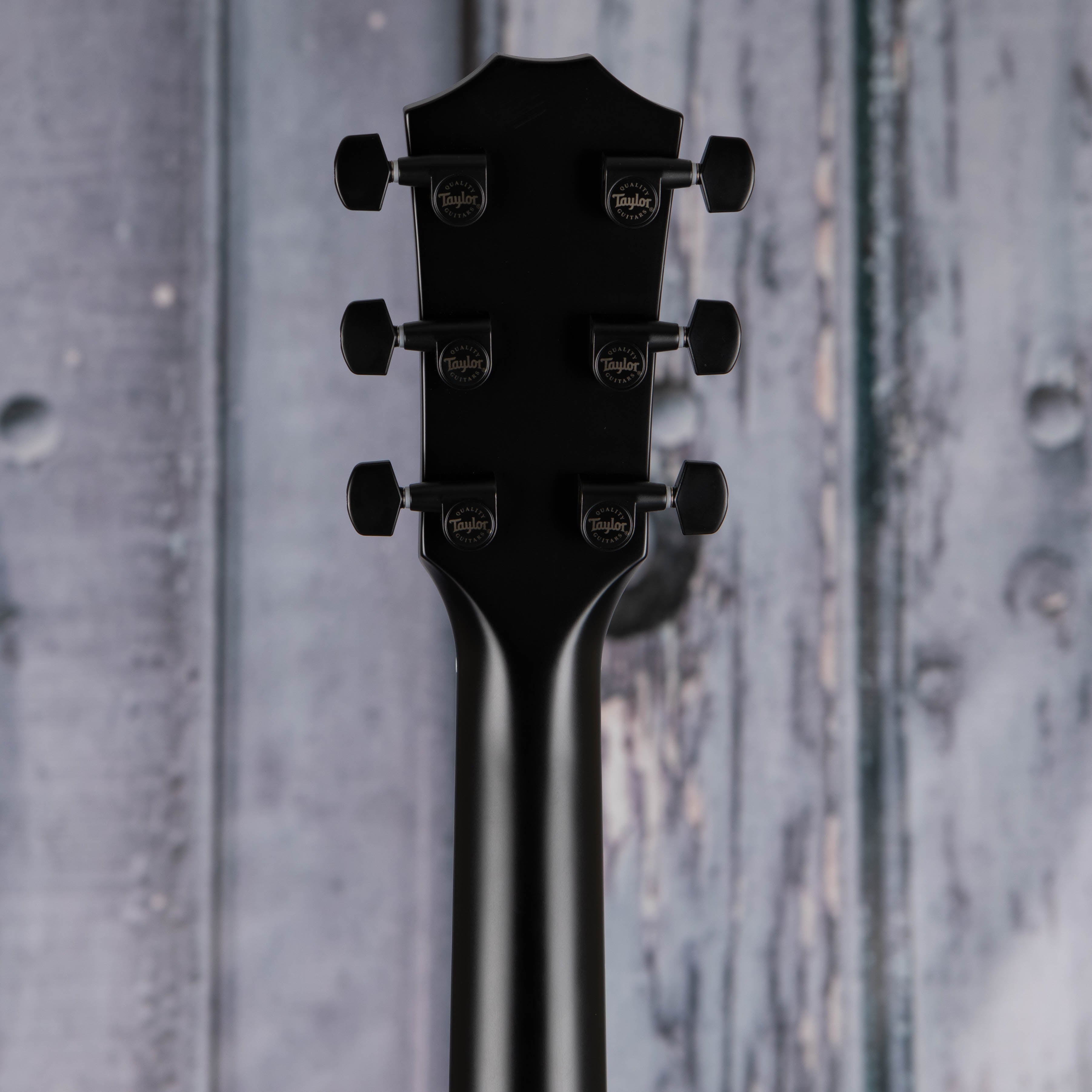 Taylor 214ce Plus Special Edition Acoustic/Electric Guitar, Trans Grey, back headstock