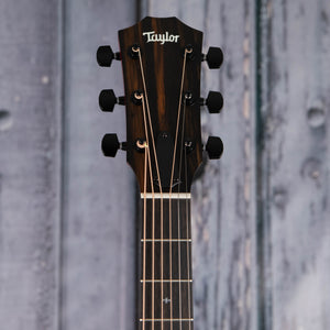 Taylor 224ce Plus Special Edition Acoustic/Electric Guitar, Trans Red, front headstock