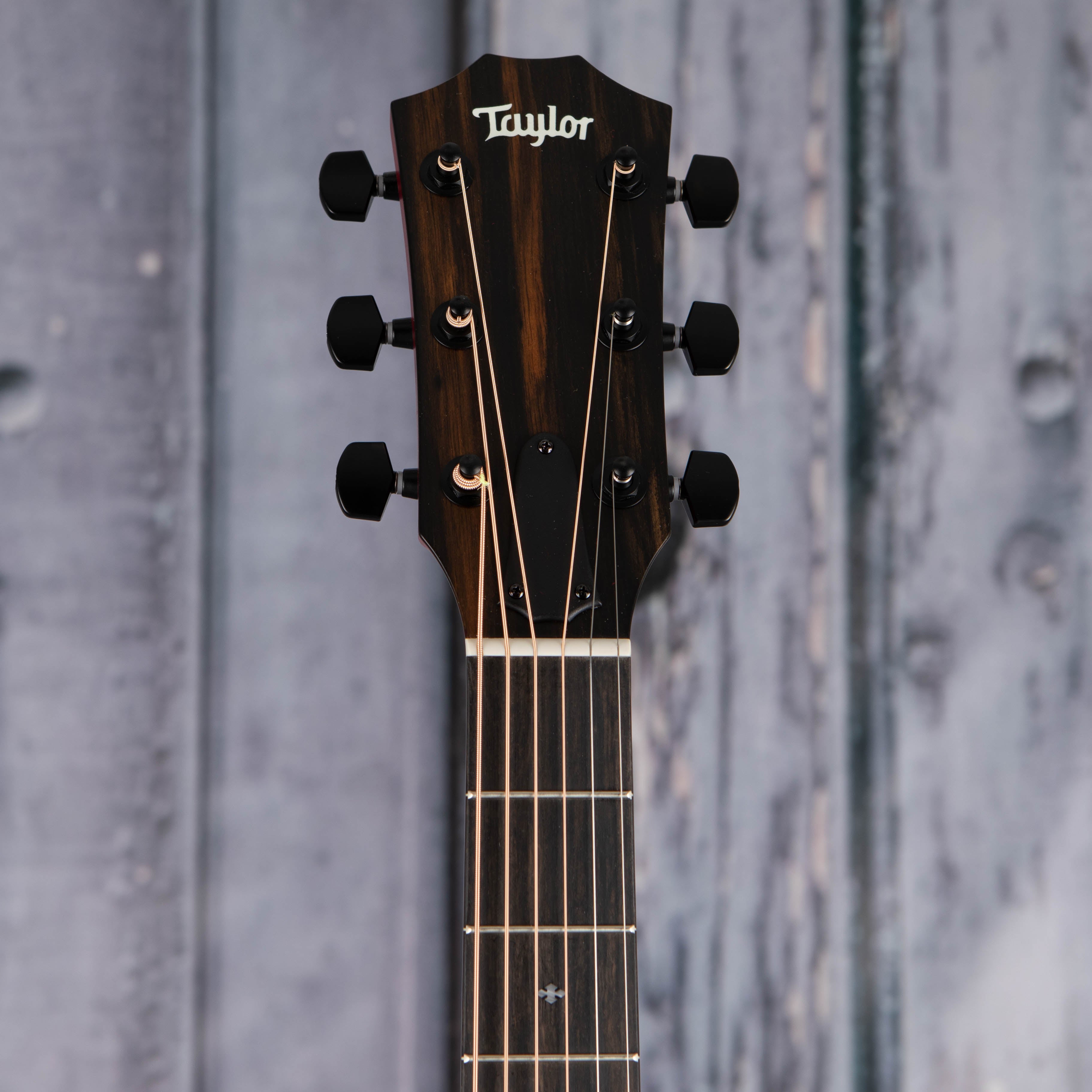 Taylor 224ce Plus Special Edition Acoustic/Electric Guitar, Trans Red, front headstock