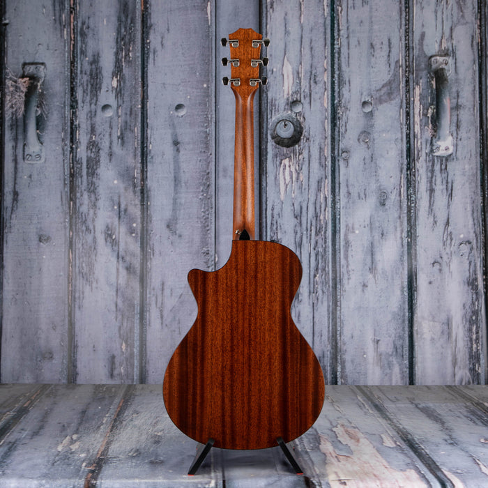 Taylor 312ce Grand Concert Acoustic/Electric, Natural