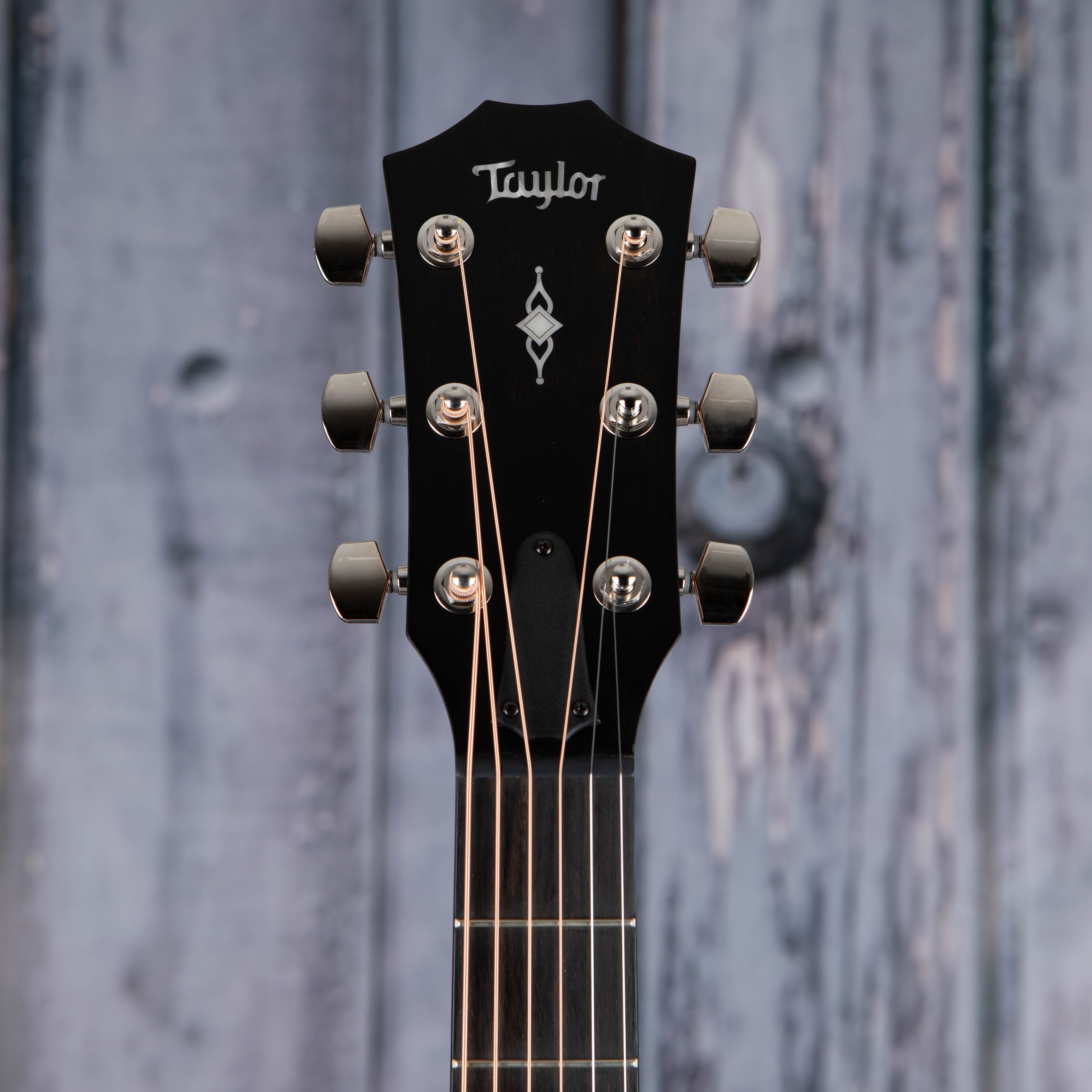 Taylor 314ce Acoustic/Electric Guitar, Natural, front headstock