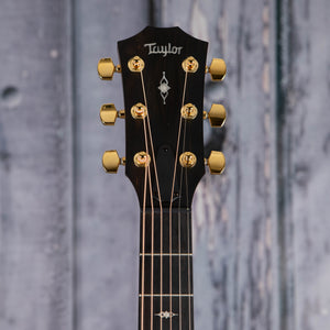 Taylor 50th Anniversary 314ce LTD Acoustic/Electric Guitar, Shaded Edgeburst, front headstock