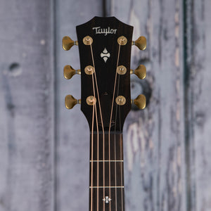 Taylor Builder's Edition 324ce Acoustic/Electric Guitar, Shaded Edgeburst, front headstock