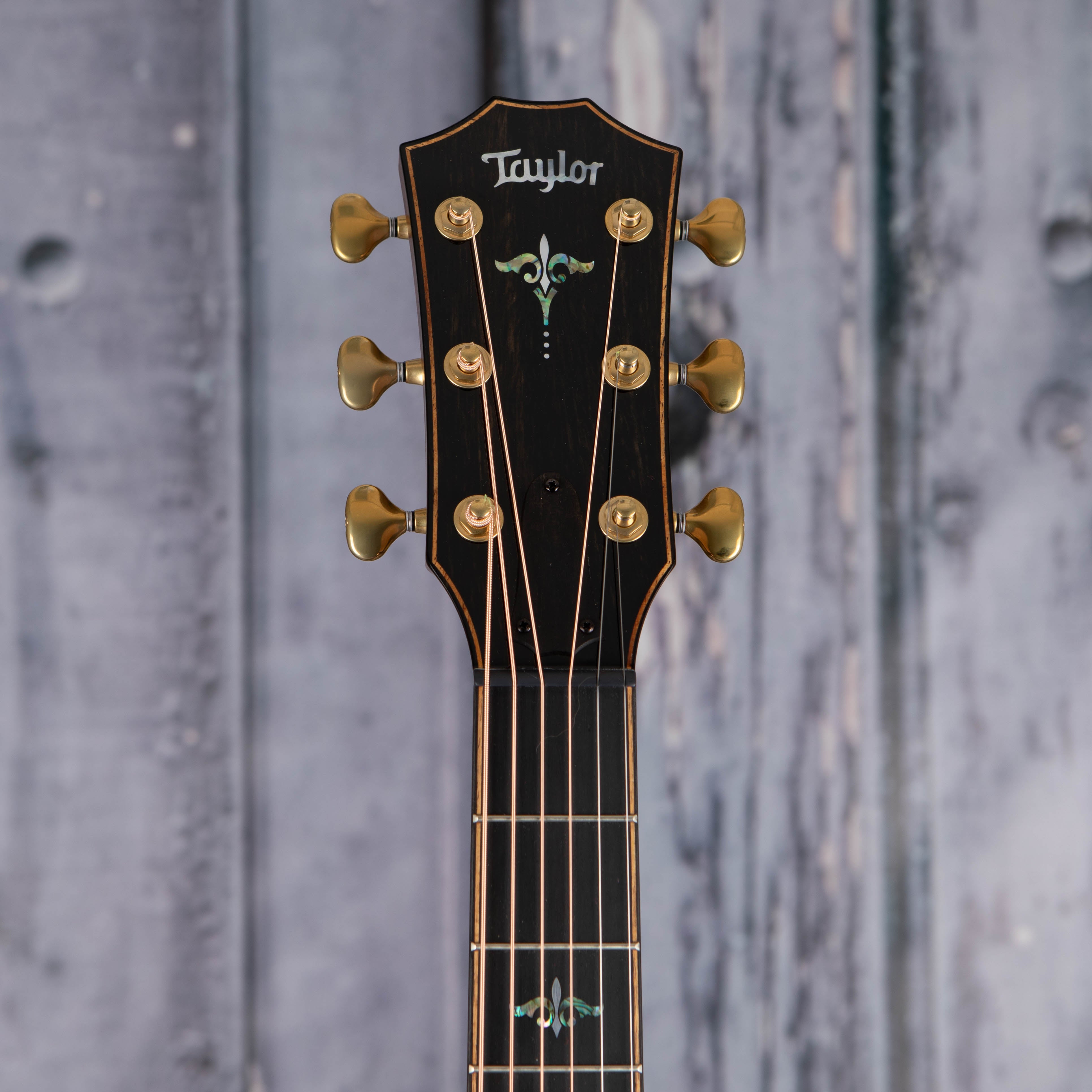 Taylor Builder's Edition 914ce Acoustic/Electric Guitar, Kona Edgeburst, front headstock