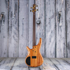 Used Ibanez Premium SR1600D Electric Bass Guitar, Autumn Sunset Sky, back