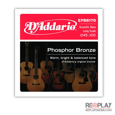 D'Addario EPBB170 Phosphor Bronze Acoustic Bass, Long Scale, 45-100