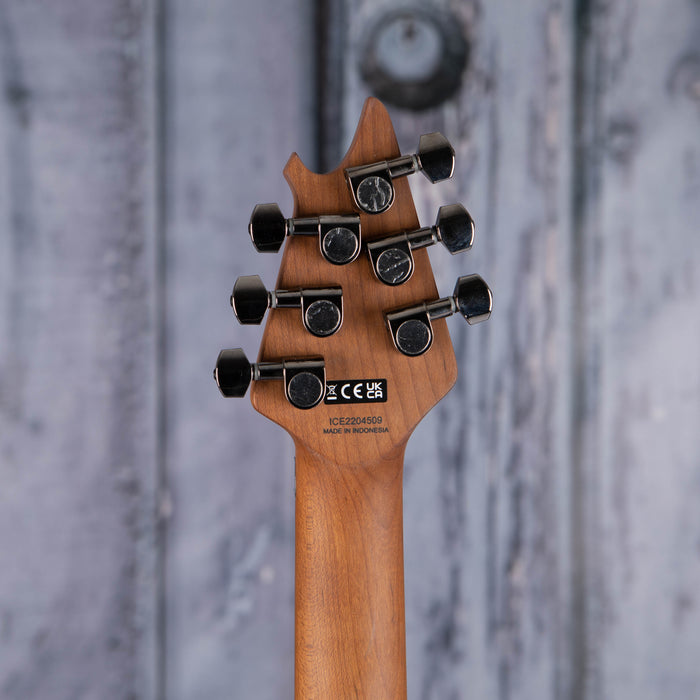 EVH Wolfgang WG Standard, Gloss Black