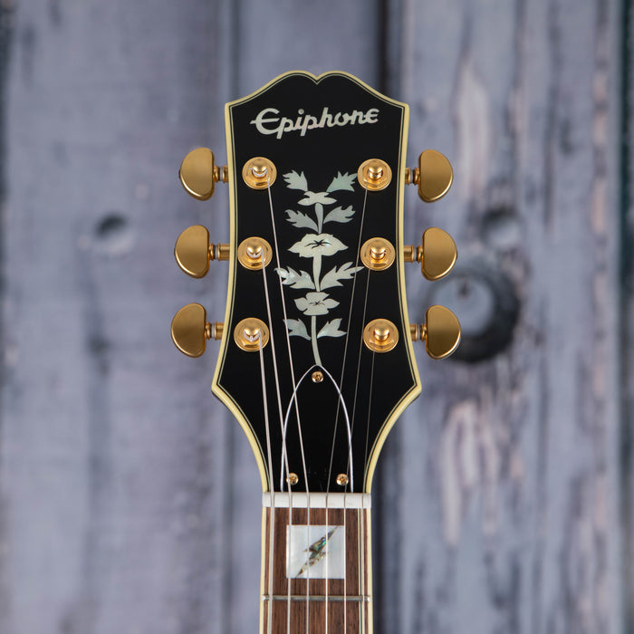 Epiphone Emily Wolfe Sheraton Stealth Semi-Hollowbody, Black Aged Gloss