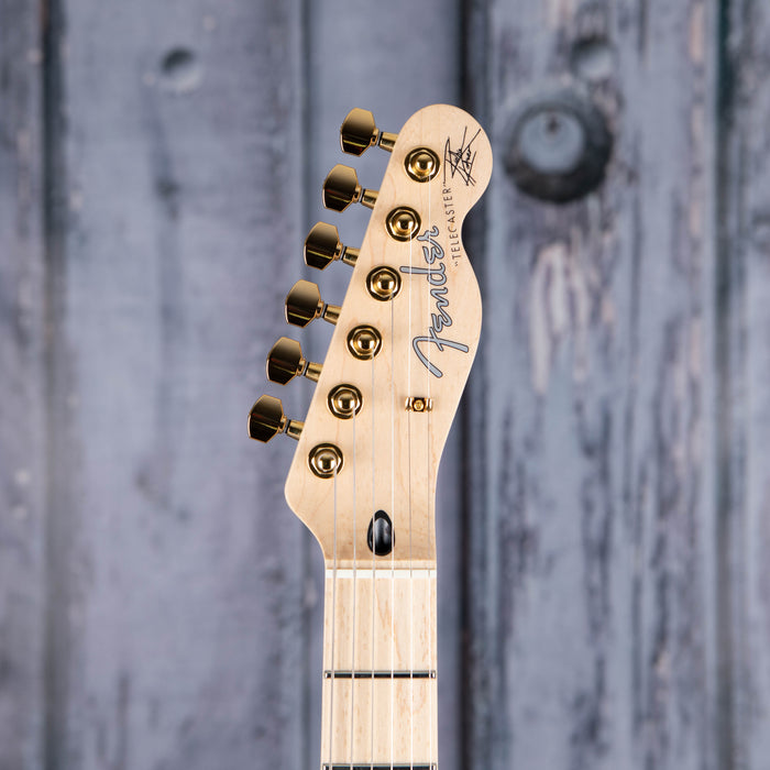 Fender Richie Kotzen Telecaster, Brown Sunburst