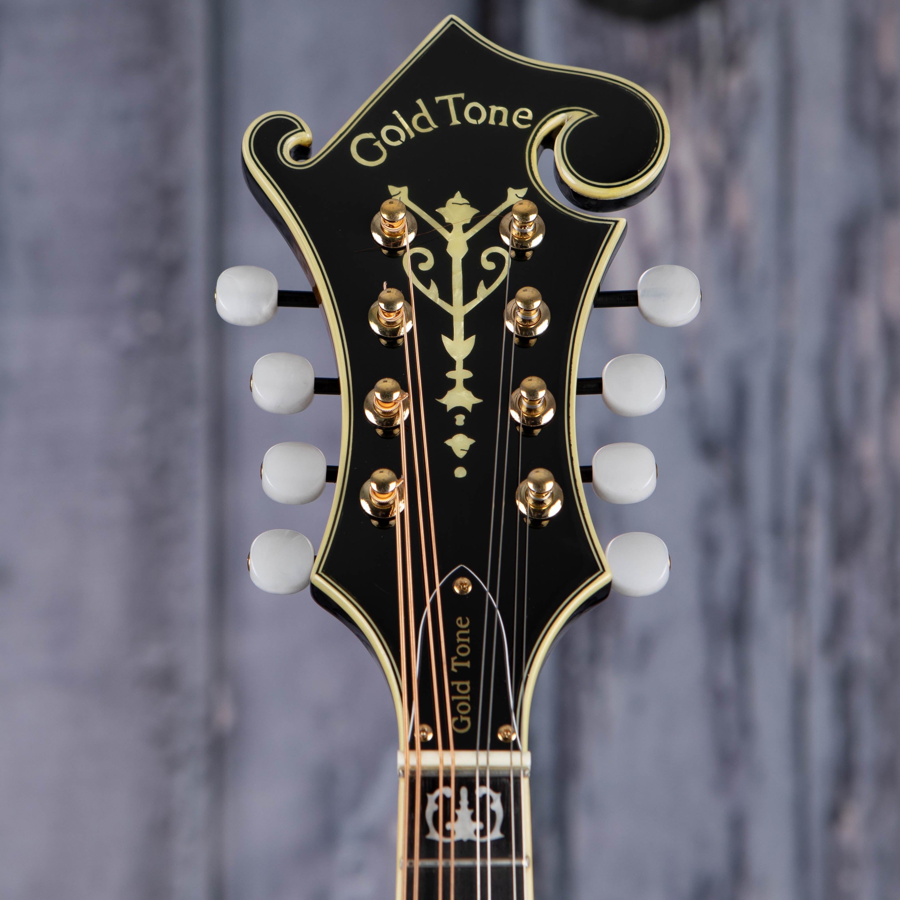 Gold Tone Mastertone GM-70+ F-Style Mandolin, Tobacco Sunburst, front headstock