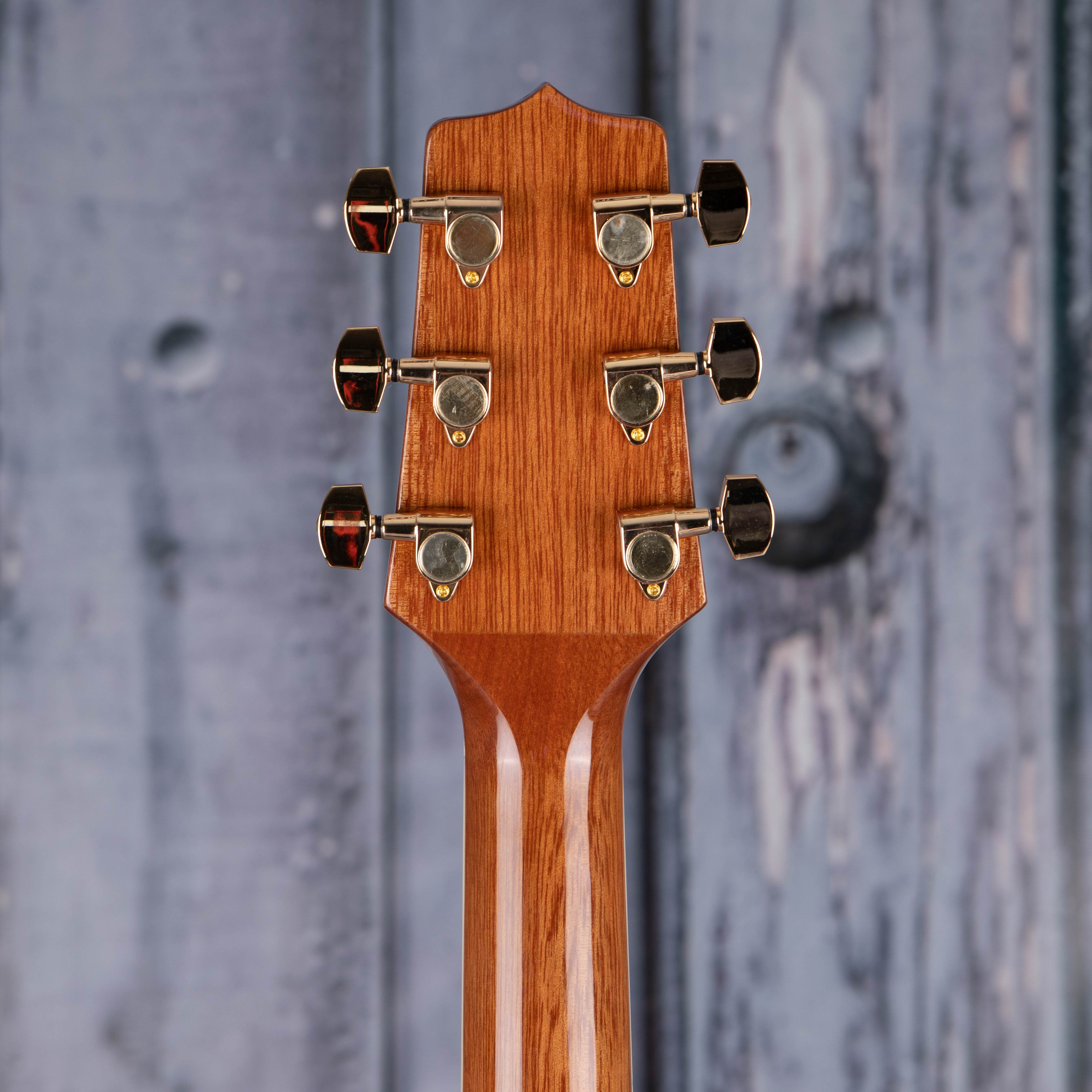 Takamine GD51CE Dreadnought Acoustic/Electric Guitar, Natural, back headstock