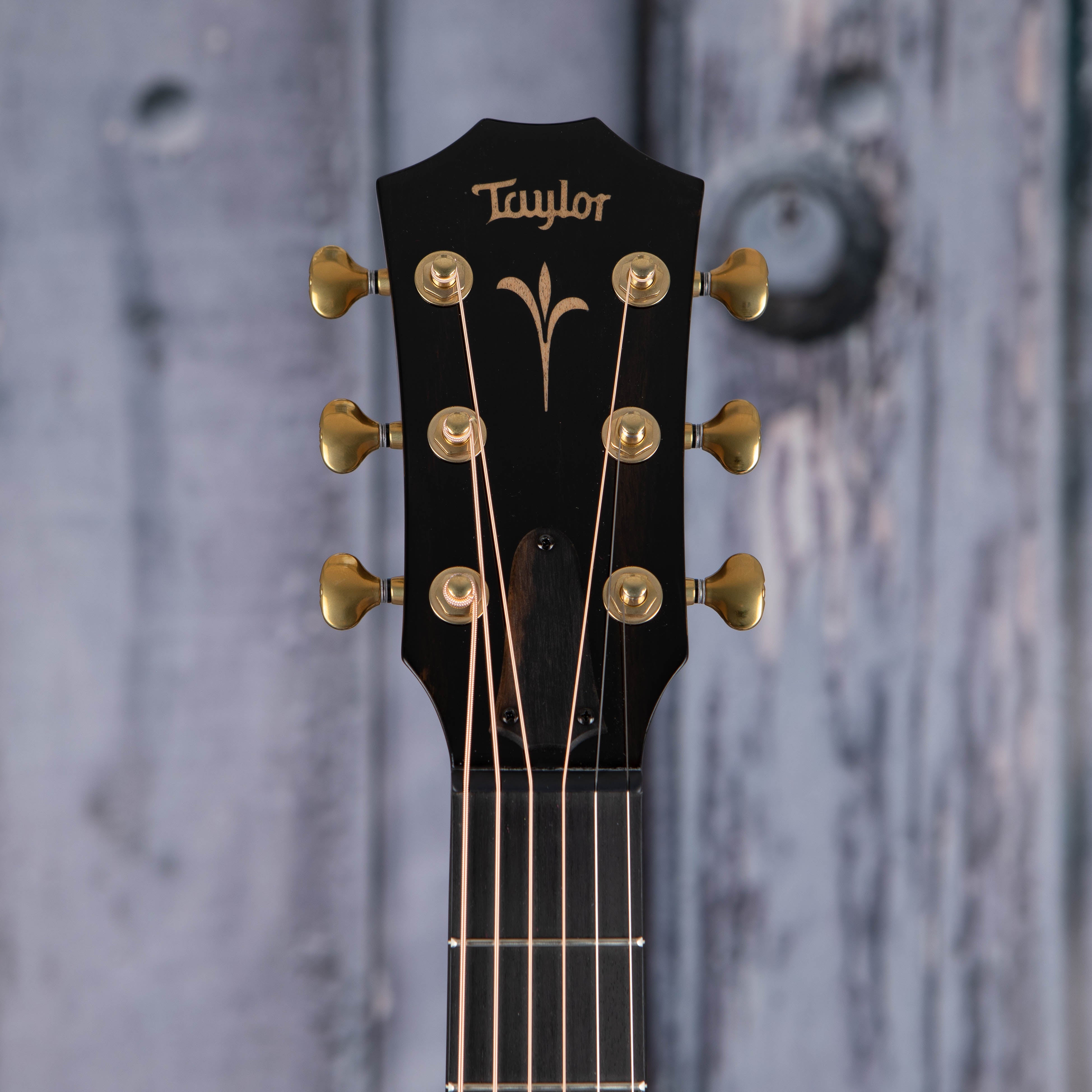 Taylor GT K21e Acoustic/Electric Guitar, Shaded Edgeburst, front headstock